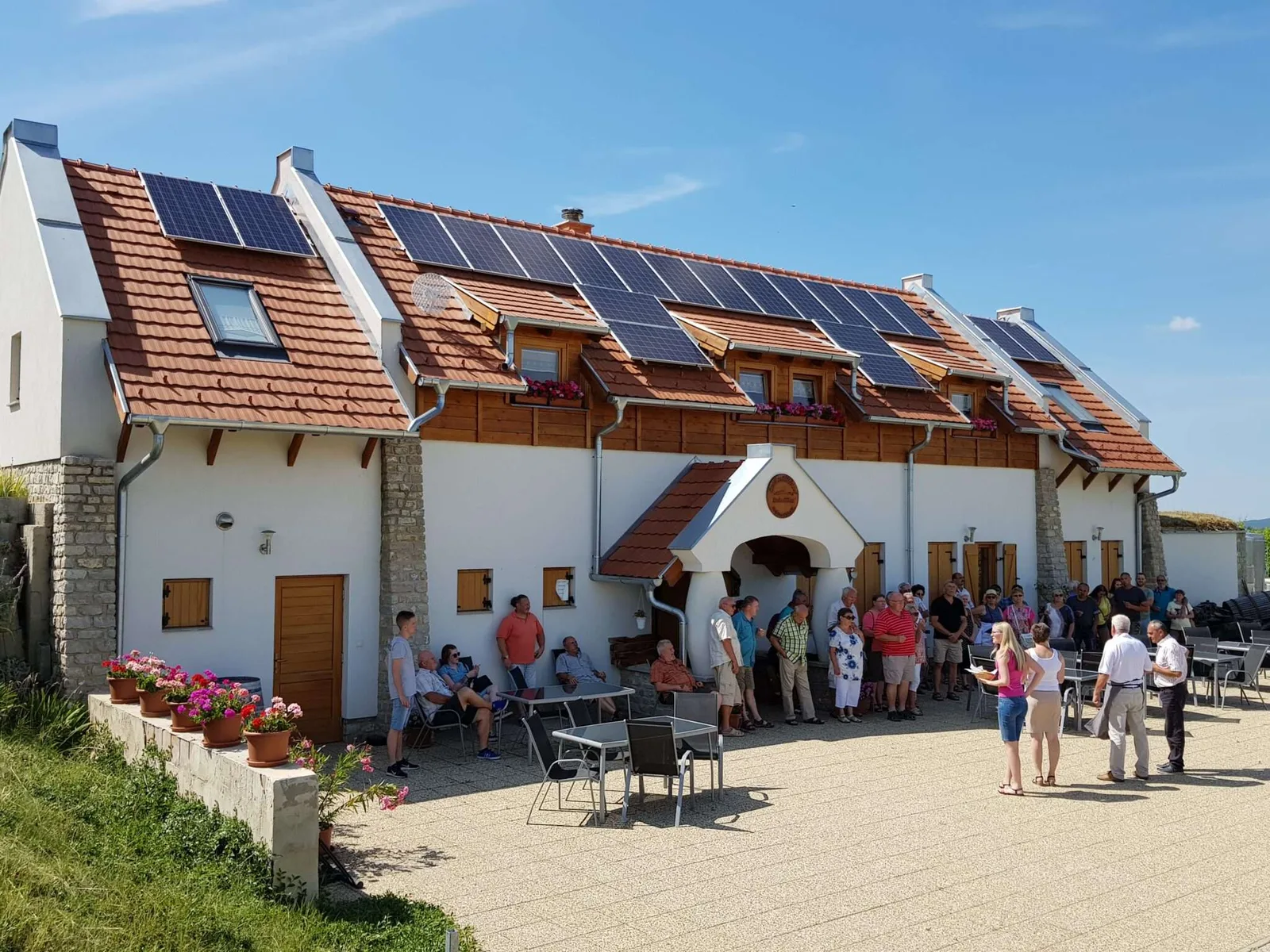 A birtok és boraink – 141. kép – Csali Szőlőbirtok, Nemesvita