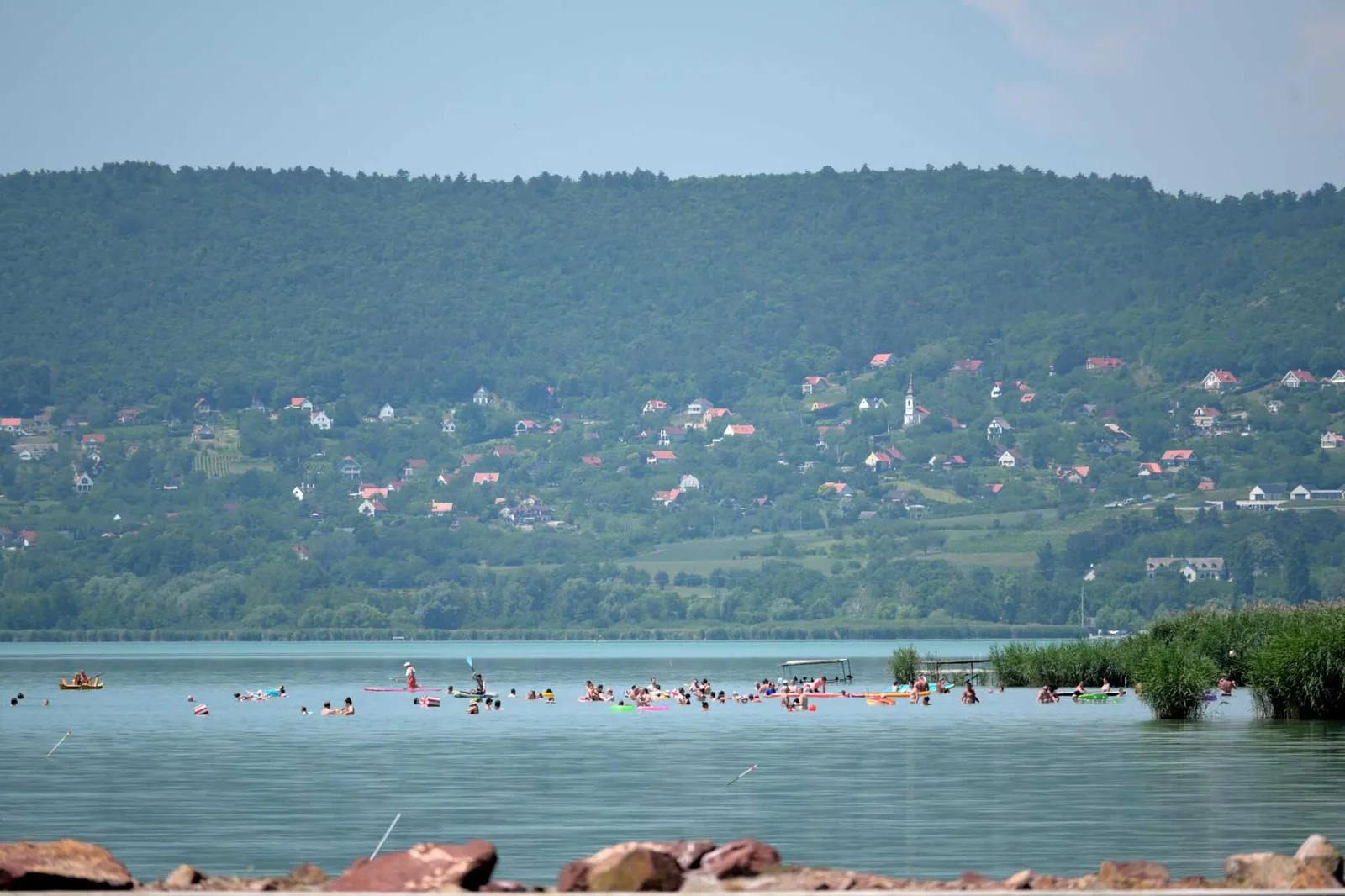 A birtok és boraink – 177. kép – Csali Szőlőbirtok, Nemesvita