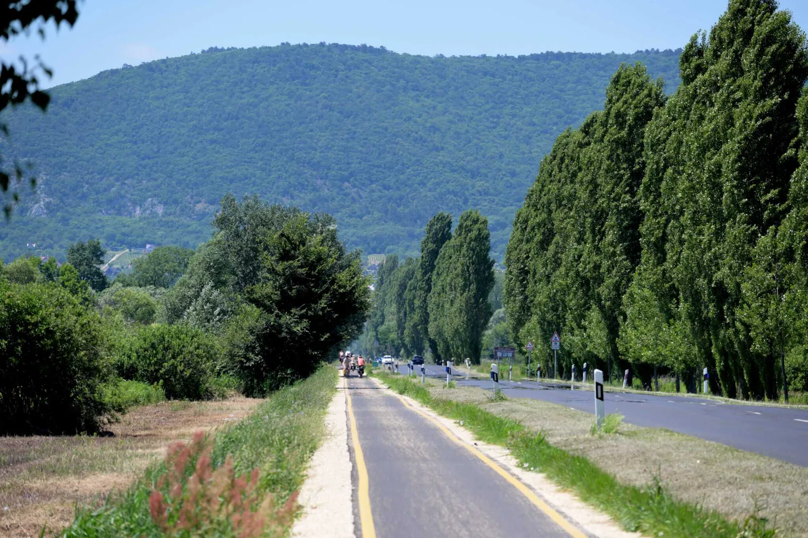 A birtok és boraink – 182. kép – Csali Szőlőbirtok, Nemesvita