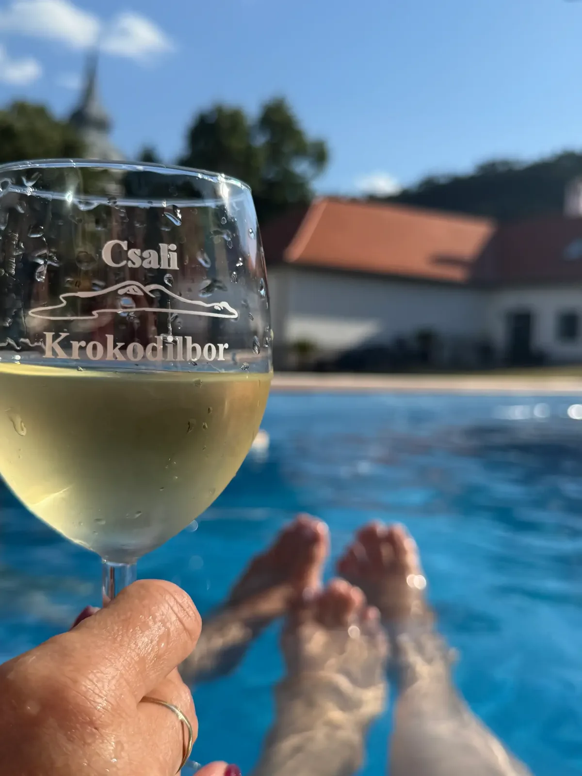 Döbrögi Wellness Vendégház – 211. kép – Csali Szőlőbirtok, Nemesvita